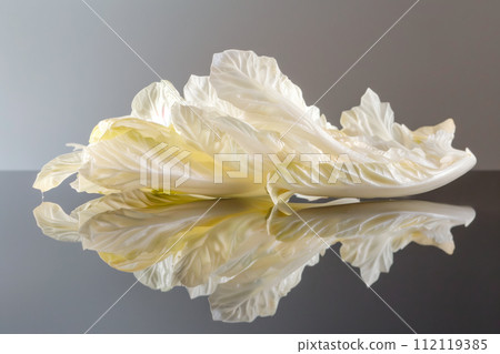 Endive lettuce isolated on white background. Fresh green salad leaves from garden 112119385