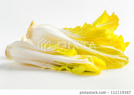 Endive lettuce isolated on white background. Fresh green salad leaves from garden 112119387