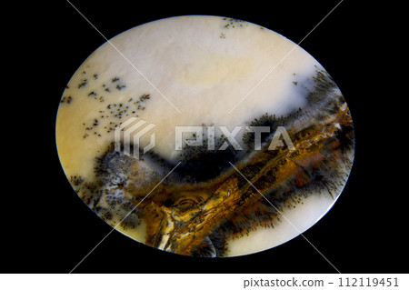 Dendritic Agate A stone that harbors landscapes 112119451