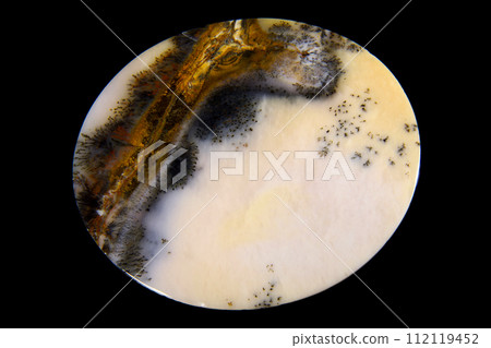 樹枝狀瑪瑙 蘊含風景的石頭 112119452