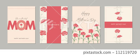 母親節康乃馨材料集框架背景向量插圖簡單時尚 112119720