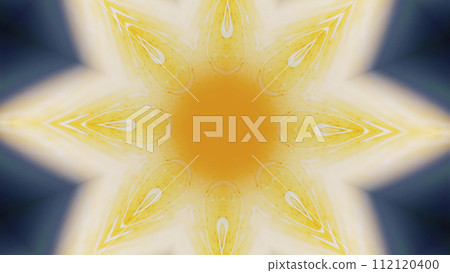 Lotus mandala ink kaleidoscope floral ornament Lotus mandala ink kaleidoscope floral ornament 112120400