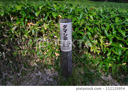 [Mountain sign] Gunma Prefecture, Damashidaira (between Shibu Pass and Yoshigaidaira) (2022) 112120954