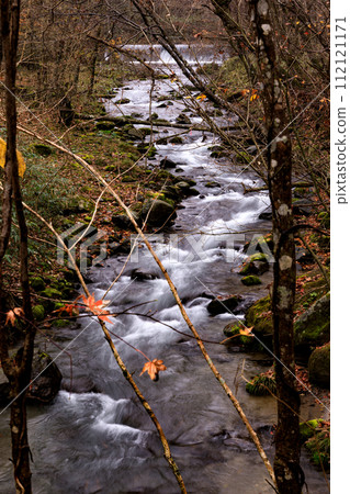 從北海道白老町印倉瀑布方向流淌的別川支流【11月】 112121171