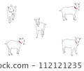 Goat illustration 112121235