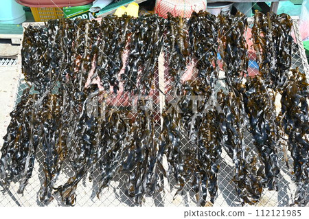 Korea seafood. sea mustard, seaweed drying seaweed Korea seafood. sea mustard, seaweed drying seaweed 112121985
