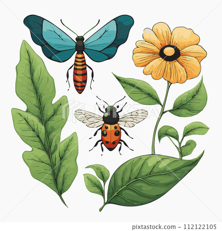 Insects botanical leaf flowers vector illustration 112122105