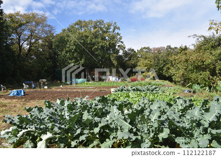 南一色城主城遺址 112122187