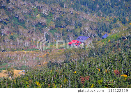 [Japanese mountain hut] Nagano Prefecture, Tsugaike Nature Park, Tsugaike Hutte Memorial Hall & Tsugaike Visitor Center (2022) 112122339