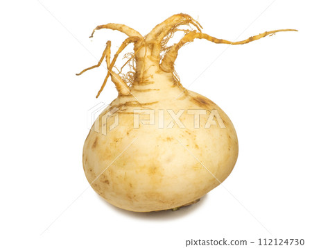 White turnip isolate. Root vegetable on a white background. Useful vegetable. Vitamin containing product. Natural turnip from the garden. 112124730