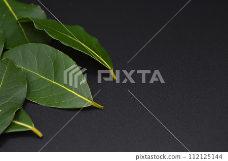 Daphne leaf, bay leaf, Laurus nobilis leaf, isolated on black background Daphne leaf, bay leaf, Laurus nobilis leaf, isolated on black background 112125144