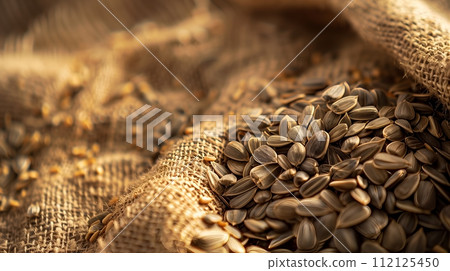 Sunflower seeds on sackcloth material with shallow depth of field. Sunflower seeds on sackcloth material with shallow depth of field. 112125450