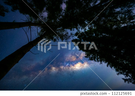 The Milky Way and the star with a blur pine trees forest silhouette in the foreground The Milky Way and the star with a blur pine trees forest silhouette in the foreground 112125691