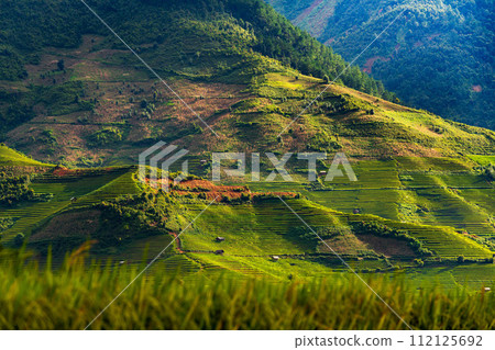 Sunset over Terraced rice fields, Mu Cang Chai, Yen Bai, Vietnam 112125692