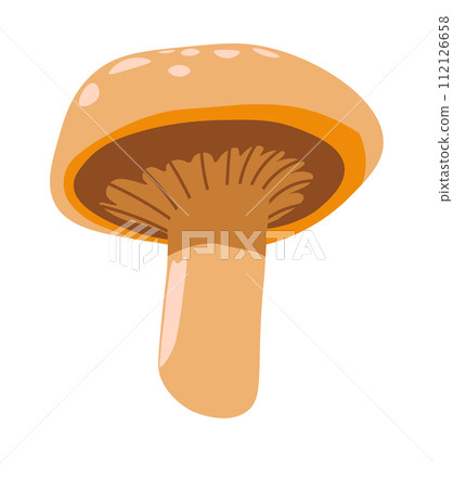 Organic mushroom vegetable, organic veggie food 112126658