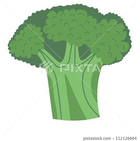 Broccoli vegetable, fresh organic natural food Broccoli vegetable, fresh organic natural food 112126664