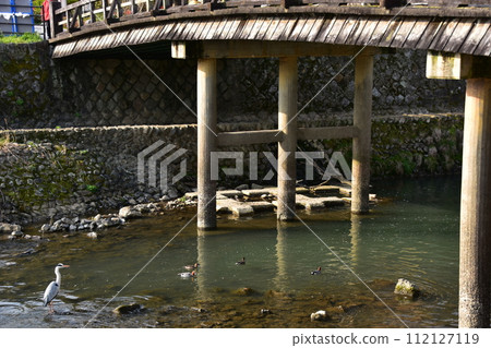 Kyoto in spring in Japan, the streets around Arashiyama, the Katsura River, a tourist attraction, and wild birds under the bridge 112127119