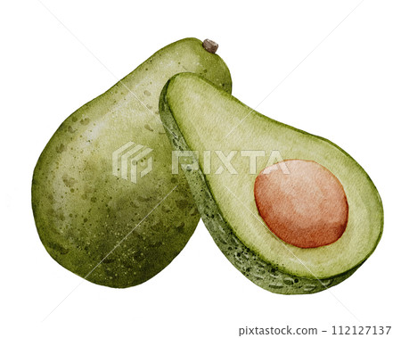 Avocado Watercolor illustration. Hand drawn clip art on isolated white background. Drawing of Fruit with a seed. Vegetable botanical painting for food or cosmetic packaging design. Kitchen print. 112127137