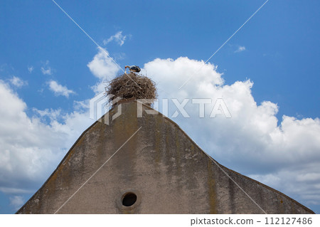 Storks in a nest on a roof in an Alsace village Storks in a nest on a roof in an Alsace village 112127486
