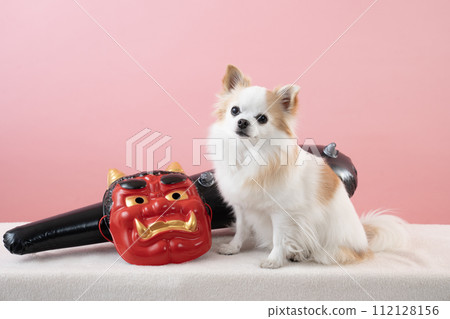 Chihuahua sitting with pink background, demon mask, and metal stick 112128156