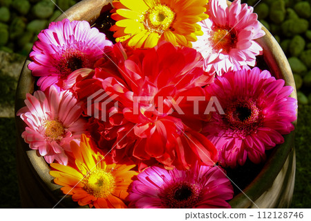 Flower hand water of Katsurinji 112128746