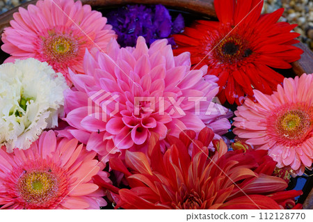 花Katsurinji手水 花Katsurinji手水 112128770