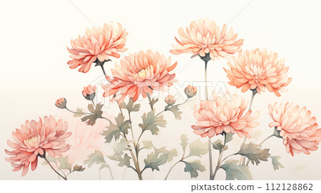 Hand drawn beautiful chrysanthemum watercolor illustration 112128862