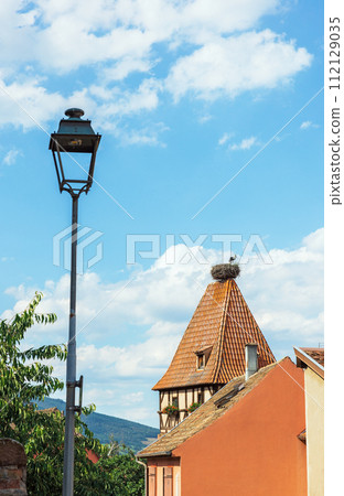 Storks in a nest on a roof in an Alsace village 112129035
