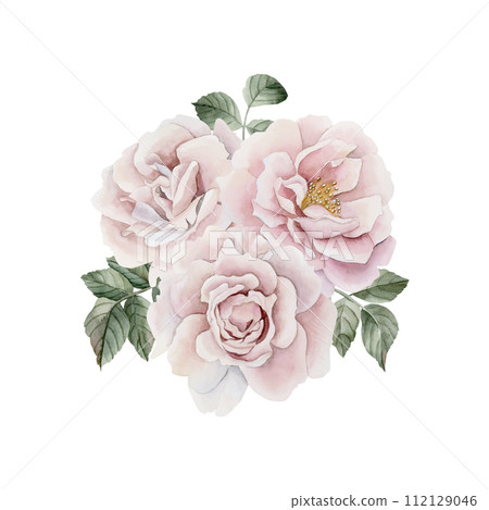 Composition of pink rose hip flowers with leaves, Victorian style rose. Floral watercolor illustration hand painted isolated on white background. Perfect for invitation, greeting cards, posters, label Composition of pink rose hip flowers with leaves, Victorian style rose. Floral watercolor illustration hand painted isolated on white background. Perfect for invitation, greeting cards, posters, label 112129046