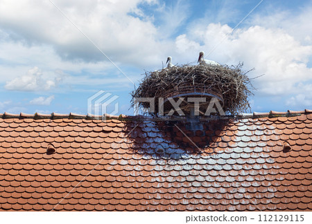 rooftops with storks in the city of Ribeauville rooftops with storks in the city of Ribeauville 112129115
