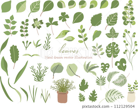 Illustration set of various leaves and plants Illustration set of various leaves and plants 112129504