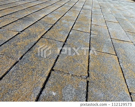 經過20年的建造，石板屋頂已經老化並長滿了青苔。 112129573