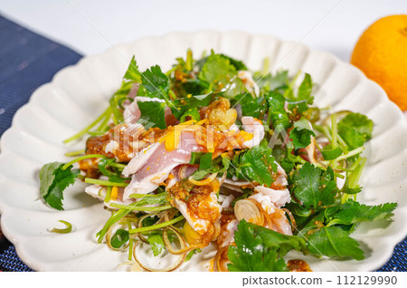 日式沙拉配調味蔬菜和雞肉塔塔基 112129990