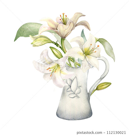 White lilies in ceramic jug watercolor isolated. White flower botanical Illustration in pitcher drawn. Lily bunch Christian symbol. Design for wedding invitation in church, christen, Easter card White lilies in ceramic jug watercolor isolated. White flower botanical Illustration in pitcher drawn. Lily bunch Christian symbol. Design for wedding invitation in church, christen, Easter card 112130021