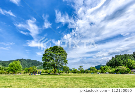 春天 宮瀨湖畔花園 神奈川縣 112130090