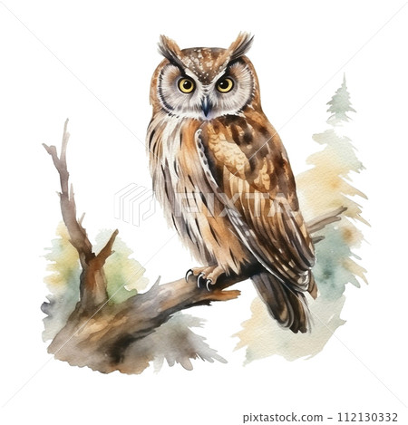 Watercolor owl full length portrait. Vintage style natural hand drawn illustration Watercolor owl full length portrait. Vintage style natural hand drawn illustration 112130332