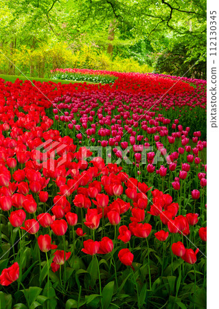 fresh lawn with flowers 112130345