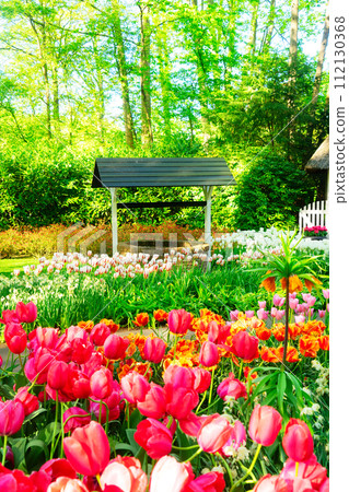 Pink and Red tulips 112130368