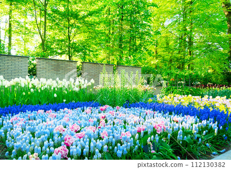 fresh lawn with flowers fresh lawn with flowers 112130382