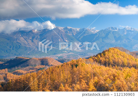 Larch trees with autumn leaves and Tokachidake mountain range Larch trees with autumn leaves and Tokachidake mountain range 112130903
