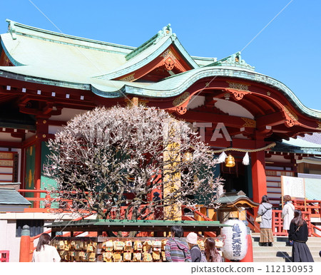 龜戶天神梅花節 梅花白梅和紅梅 東京都江東區龜戶 龜戶天神梅花節 梅花白梅和紅梅 東京都江東區龜戶 112130953