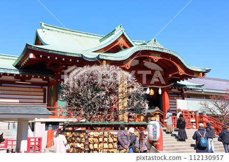 龜戶天神梅花節 梅花白梅和紅梅 東京都江東區龜戶 龜戶天神梅花節 梅花白梅和紅梅 東京都江東區龜戶 112130957