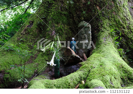 Stone structure under a moss-covered tree Stone structure under a moss-covered tree 112131122