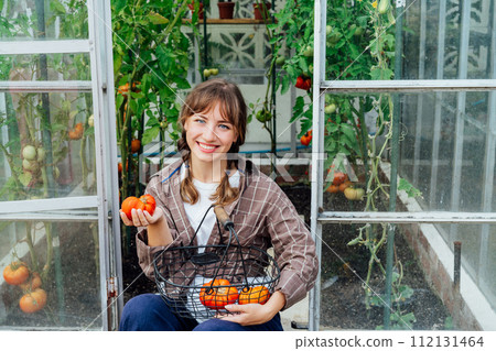 Young smiling woman holding harvest of ripe red beef tomatoes, just picked in green house. Urban farming lifestyle. Cottage core. Growing organic vegetables in garden. Concept of food self-sufficiency 112131464
