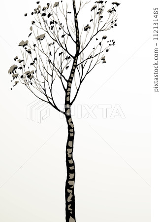 Birch. Vector drawing black pattern Birch. Vector drawing black pattern 112131485