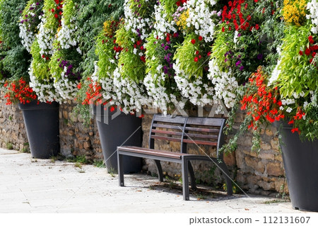 Flowers on a wall in the village of Dardilly, France 112131607