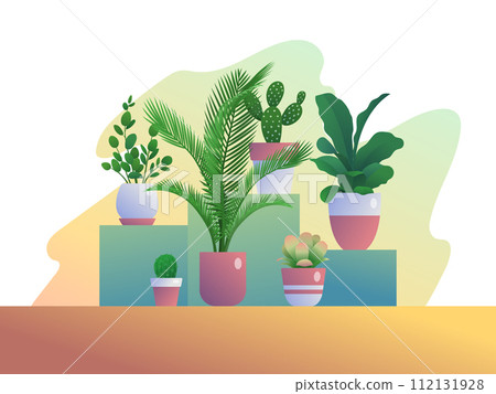 Houseplants growing in pots Houseplants growing in pots 112131928