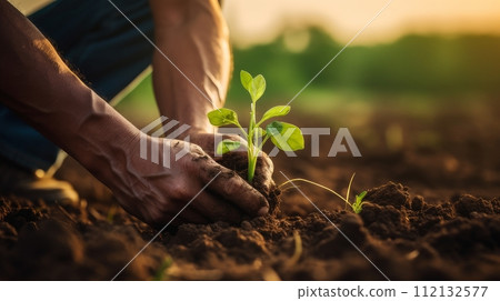 AI-generated content. Man planting a small green plant sprout in the ground 112132577