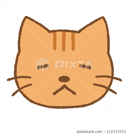 簡單的棕色虎斑貓圖 112133552