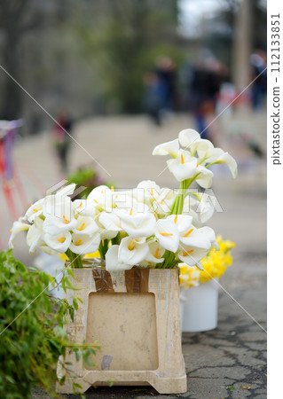 Selling of fresh calla lilies and daffodils at outdoor flower shop. Yellow and white Narcissus blossoms in a florist are sold at the street market 112133851